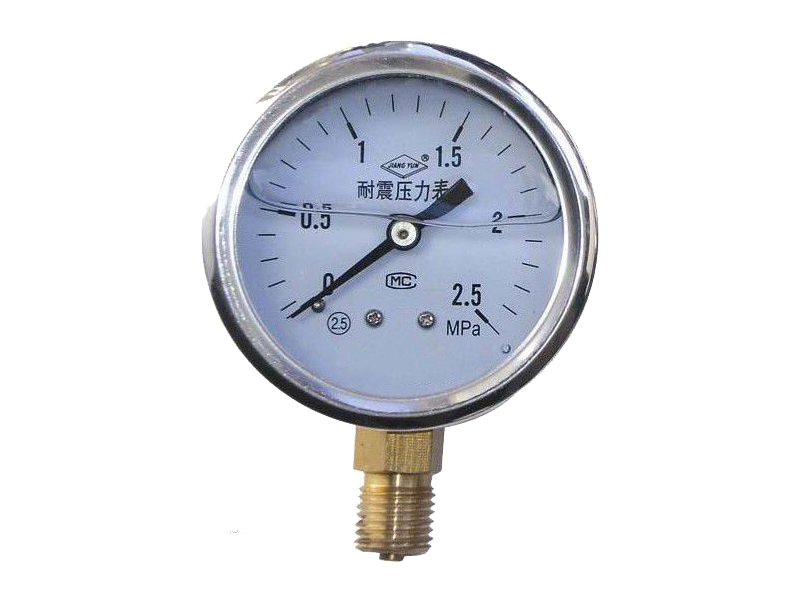 Shockproof pressure gauge